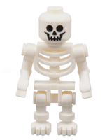 Skeleton