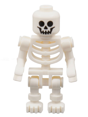 Skeleton