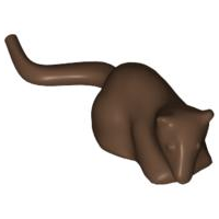 Rat