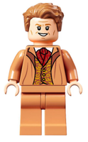 Professor Gilderoy Lockhart