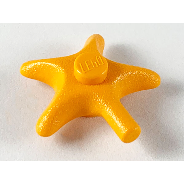 Starfish / Sea Star