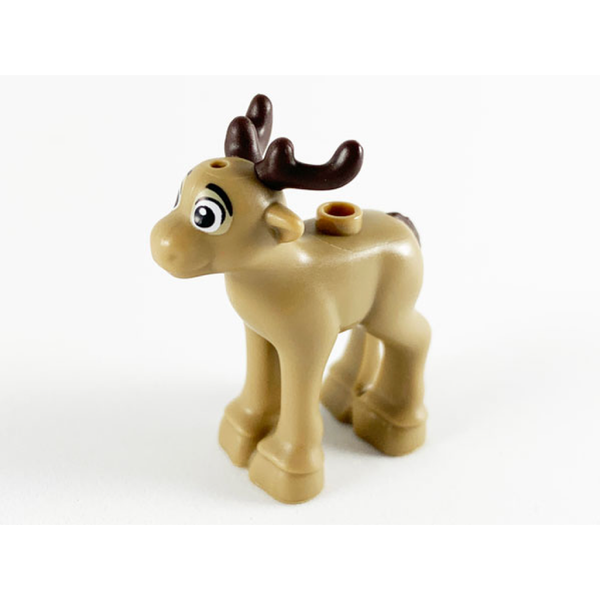 Reindeer, Fawn
