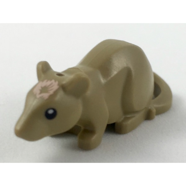 Rat