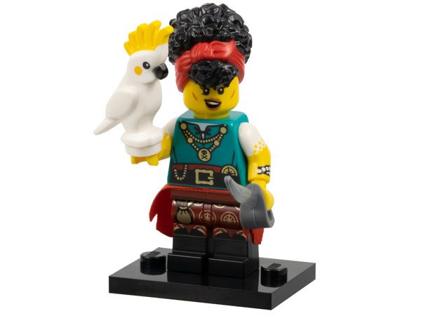 Series 27 - Pirate Quartermaster