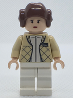 Princess Leia (Smooth Hair)