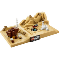 40451 Tatooine Homestead