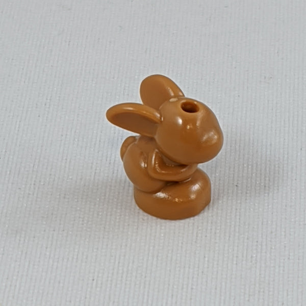 Bunny/Rabbit