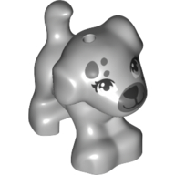 Dog, Puppy