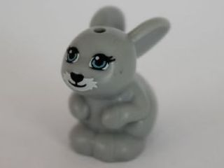 Bunny/Rabbit